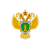 Прокуратура Санкт-Петербурга